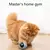 Brinquedos elétricos inteligentes para gatos Bola rolante automática na internet