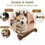 Osso Natural Não Tóxico para Cachorro Mastigar - comprar online