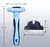 Escova do gato, Pet Grooming Tools, Clipper - comprar online