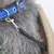 Transportador para cães e gatos, bolsa de ombro portátil na internet
