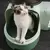 Caixa de areia totalmente fechada para gatos, WC para gatos de grandes dimensõe - loja online