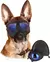 Óculos anti-UV transparentes para cães médios e grandes na internet