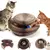 órgão placa brinquedo gato com bola na internet