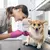 Cortador de unhas de aço inoxidável para animais de estimação - Seu Little Pet