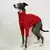 Camisola de gola alta malha para o Natal, Camisola galgo italiana, Roupa quente - comprar online