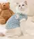 Roupas de gato sem penteados quentes, suéter cardigan com fivela - Seu Little Pet