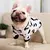 Camisola Haki de veludo quente para cães, roupa para cães, conjunto hanbok - Seu Little Pet