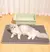 Impermeável dupla camada Pet Litter Mat, caixa de vaso sanitário do gato - loja online
