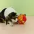 Bola de pelúcia interativa com sinos para cães, Mastigar brinquedo - loja online