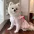 Vestido refrescante para cachorro, arco fino, impressão de coração - Seu Little Pet