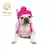 Chapéu de malha Windproof para Pet, Chapéu de malha macia para o inverno na internet