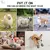 Sapatos de malha para animais de estimação, sola macia - comprar online