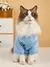 Roupas impressas Pet Cloth Dog T-Shirt - Seu Little Pet
