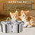 Fonte de água automática do gato para Pet, aço inoxidável - Seu Little Pet