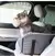 Assento de segurança do carro portátil para cães pequenos - comprar online