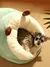 Ninho de dormir de pelúcia para animais de estimação, cama macia - comprar online