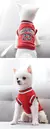 Roupa de malha cão, schnauzer, peluche, esporte, camisa grande - comprar online