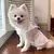 Vestido refrescante para cachorro, arco fino, impressão de coração