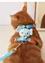 Conjunto de arnês e trela para cachorro de pato cartoon, alça ajustável - comprar online