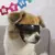 Óculos de sol, óculos pequenos para cães pequenos, óculos anti-UV - Seu Little Pet