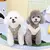 Casaco quente com D-Ring para cães pequenos e médios, roupa para cachorros - Seu Little Pet