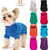 Roupa tricotada de inverno para cães pequenos e médios