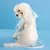 Casaco de chuva claro Pet Raincoat, Casaco impermeável para cães pequenos - Seu Little Pet