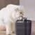 Dispensador de água automático para gato, circulando