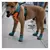 Sapatos de malha para animais de estimação, sola macia