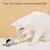 Brinquedos elétricos inteligentes para gatos Bola rolante automática - Seu Little Pet