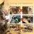 Ate carrapatos para cães e gato - loja online