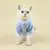 Roupa Fofa para Cachorro, Gato Pequeno, Confortável e Respirável Hoodie Pet - Seu Little Pet