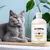 Shampoo Dog para Alívio da Pele, Shampoo Banho Pet, Solução de Limpeza na internet