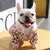 Camisola Haki de veludo quente para cães, roupa para cães, conjunto hanbok