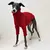 Camisola de gola alta malha para o Natal, Camisola galgo italiana, Roupa quente