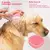 Escova auto-limpante com cortador de unhas e lima, terno de beleza - Seu Little Pet
