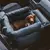 Assento de carro, Vintage Denim Patchwork segurança Bolster para cão e Pet - Seu Little Pet