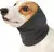 Protetores de ouvido para animais de estimação laváveis à prova de ruído - comprar online