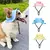 Chapéu de obediência com orelhas, regularidade de sol para gatos - comprar online