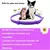Imagem do Colar ante pulgas para gatos cães, regular ansiedade, calmante