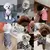 Colete listrado simples para animais de estimação, camisas polo para cães