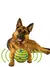 Wobble Wag Toy Para Animais De Estimação, Bola De Brilho, Brinquedo Interativo