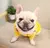 Camisola Haki de veludo quente para cães, roupa para cães, conjunto hanbok na internet