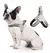 Arnês reflexivo do cão pet, cães médios pequenos, gato sem colete de puxar - Seu Little Pet