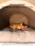 Imagem do Big Dog Nest removível e lavável, Pet Sleeping Supplies, tipo de casa