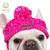 Chapéu de malha Windproof para Pet, Chapéu de malha macia para o inverno