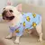 Camisola Haki de veludo quente para cães, roupa para cães, conjunto hanbok