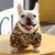 Camisola Haki de veludo quente para cães, roupa para cães, conjunto hanbok