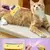 Removedor de pelos para cães e gatos