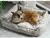 Sofá interior cama para cães e gatos, Puppy House - comprar online